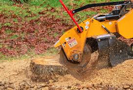 Best Lawn Drainage Solutions  in Sunland Park, NM