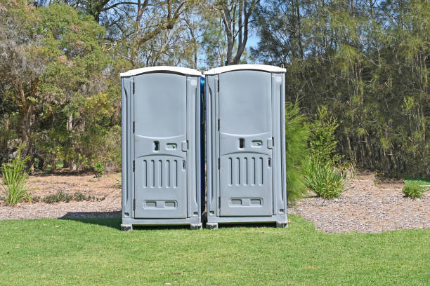 Best Lawn Maintenance Plans  in Sunland Park, NM